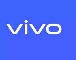 Vivo Mobile covers